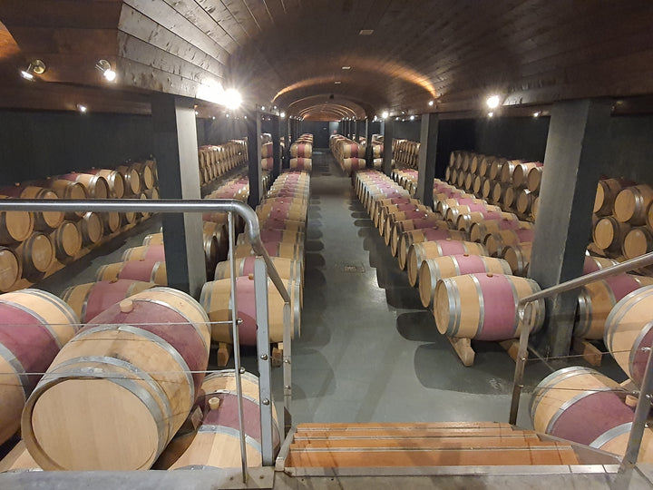Barrique-Keller Château Bertinerie – französische Eichenfässer für den Ausbau der Réserve-Weine, die Eleganz und Tiefe verleihen.