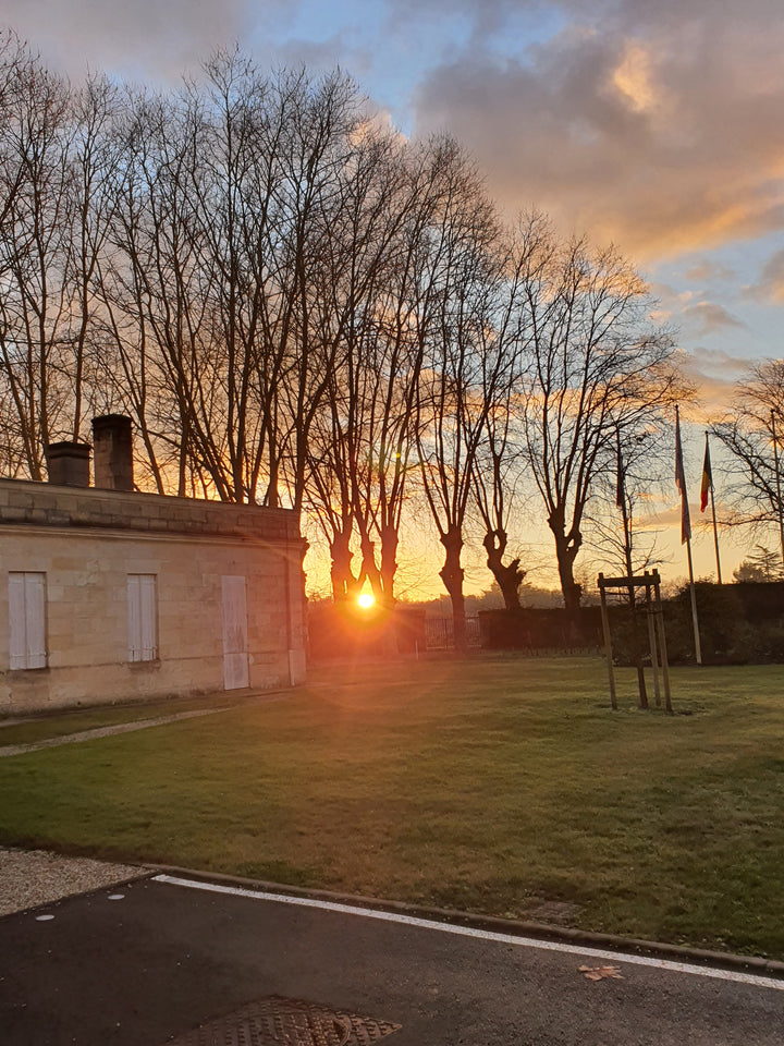 Château Haut Breton Larigaudière bei Sonnenuntergang – stimmungsvolle Ansicht des Weinguts in Margaux, Sinnbild für Eleganz und Tradition.