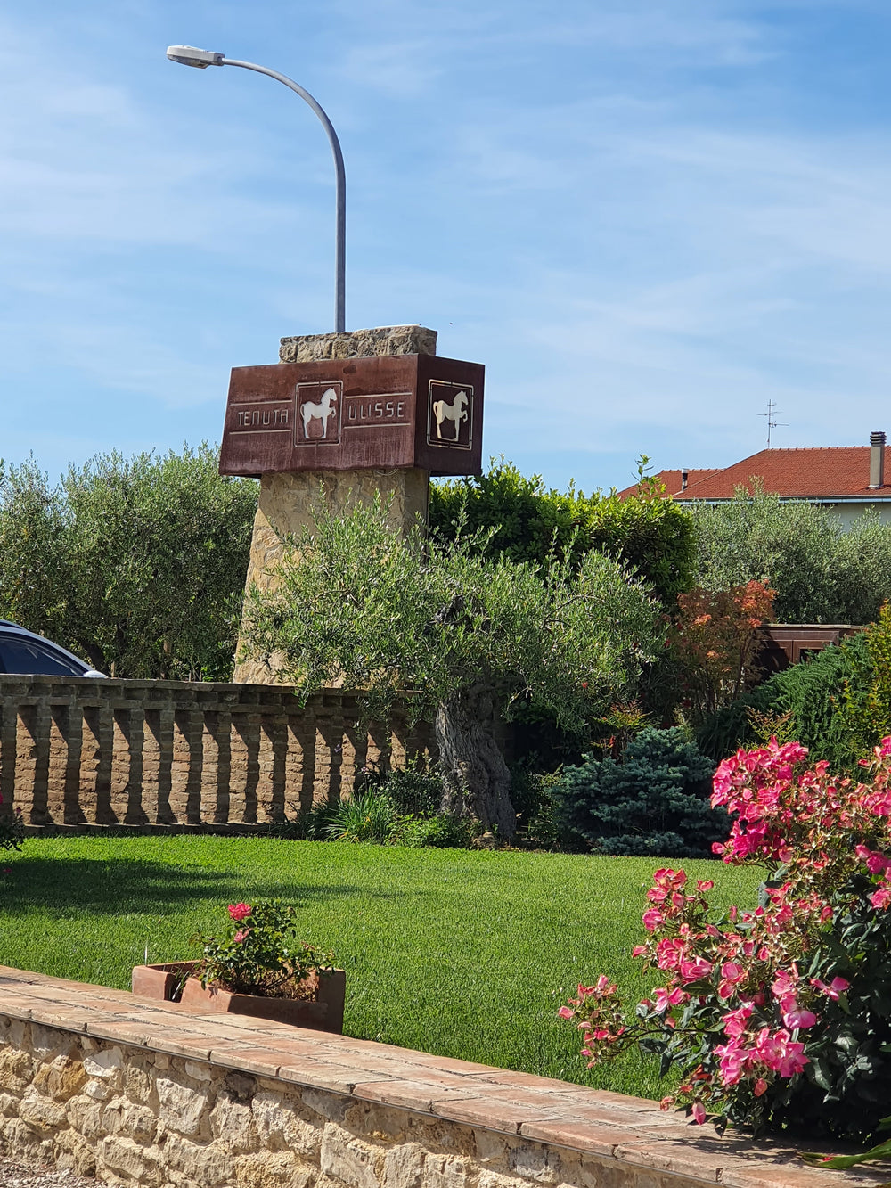 enuta Ulisse Weingut in den Abruzzen – moderne Kellerei inmitten der Reben.
