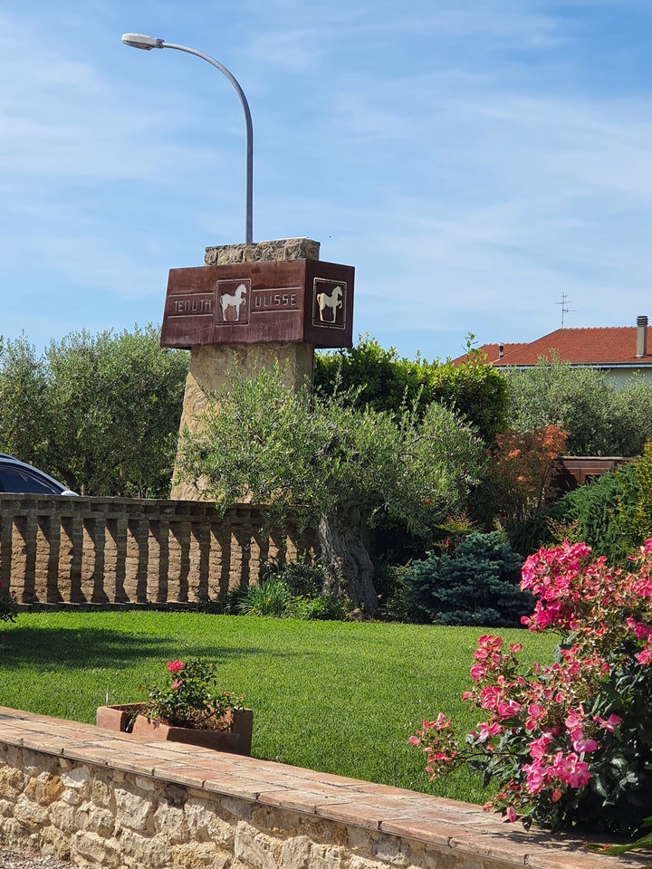 enuta Ulisse Weingut in den Abruzzen – moderne Kellerei inmitten der Reben.