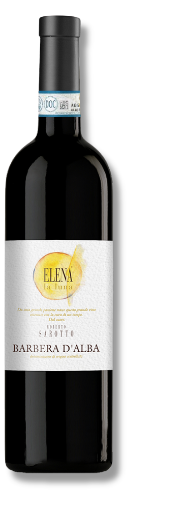 Flasche Elena Barbera d’Alba DOC 2022 von Roberto Sarotto, italienischer Rotwein mit goldfarbenem Etikett und Auszeichnung „3 Bicchieri Gambero Rosso“.